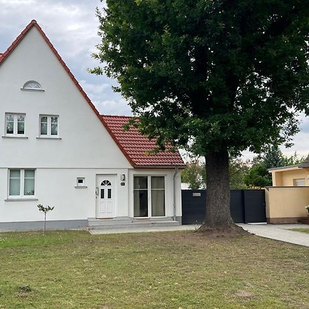 Ferienhaus Constanze Muecheln Am Geiseltalsee Stobnitz Екстериор снимка